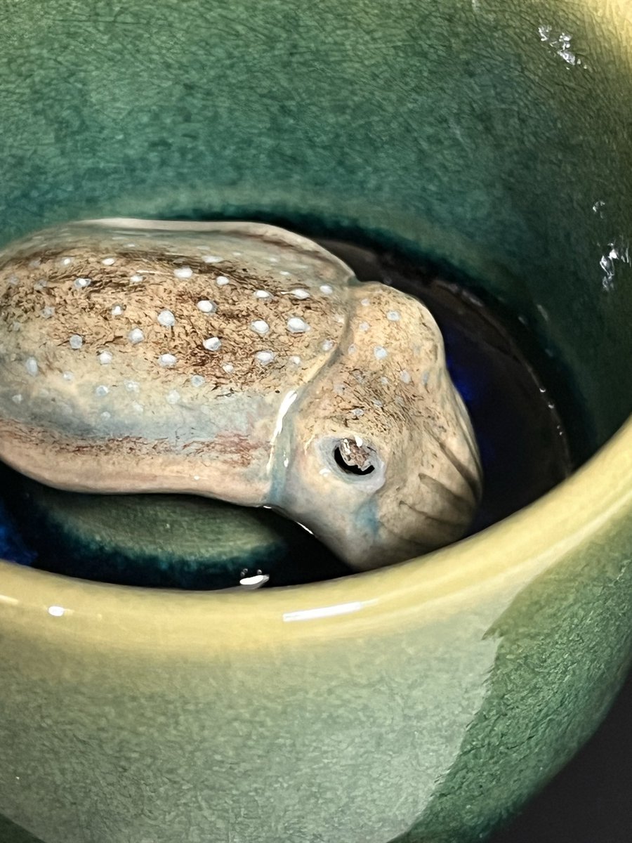 コウイカのぐい呑み🦑🍶