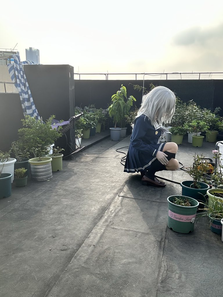 幻想书屋 tweet media