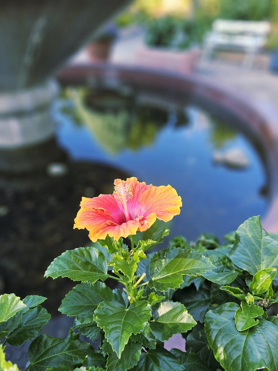 9月26日(金)は名城公園に
行きました😃
綺麗なお花が沢山咲いていて
見ててめちゃめちゃ
癒されましたぁ😊
#photo　#写真
#写真好きな人と繋がりたい 
#写真撮ってる人と繋がりたい