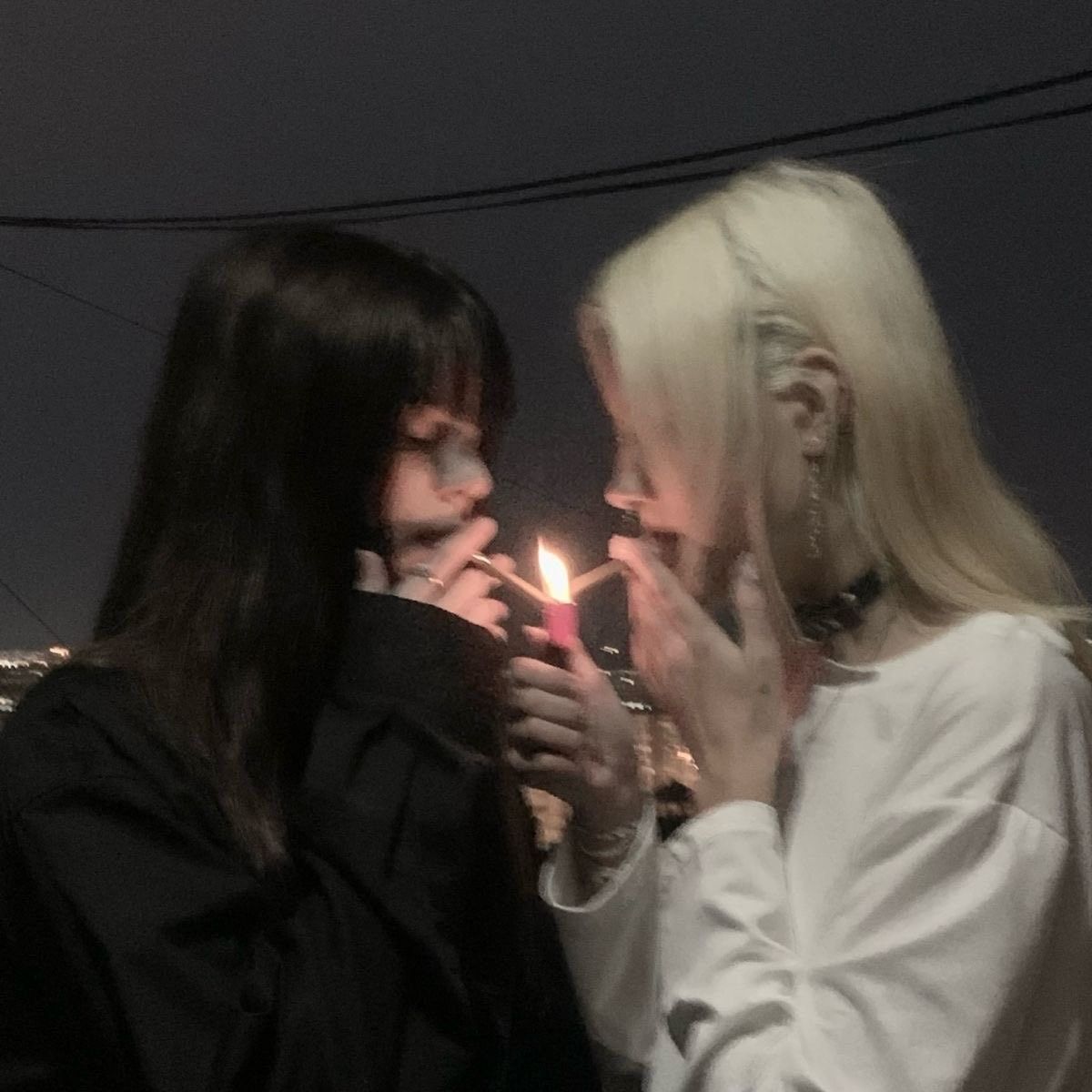 트레짤수집가 tweet media