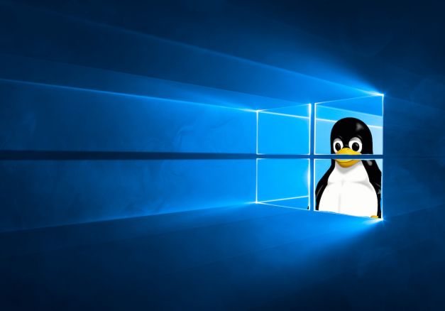 LexAtari's tweet photo. So,it's done, Windows era is completed,especially for me. Ubuntu for everyday work, #DragonOS for SIGINT, Kali Linux (all in one machine) for pentesting experiments. Transition have some  difficulties, but gives to your brain option to step higher. #linux https://t.co/hRcgXGQ3qu
