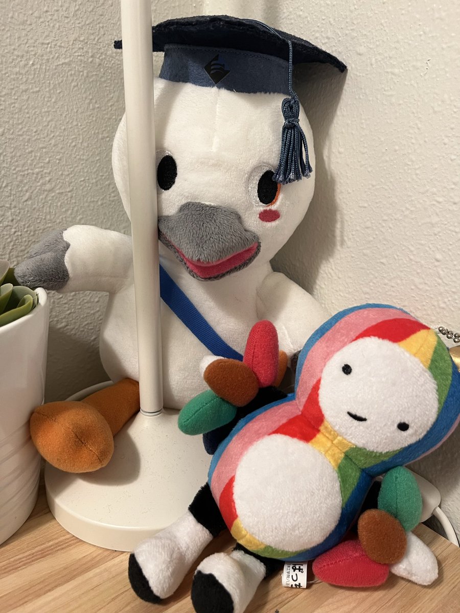 ictlec's tweet photo. 図書館棟はめっちゃオシャレに変わってたけど、ドーナツホールは見覚えのある風景だった https://t.co/BBqvNkSnD4
