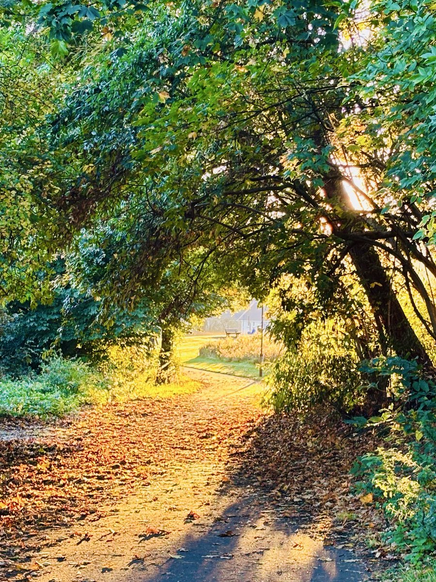 Gail Preston tweet media