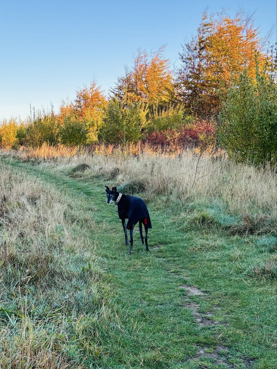 Gail Preston tweet media