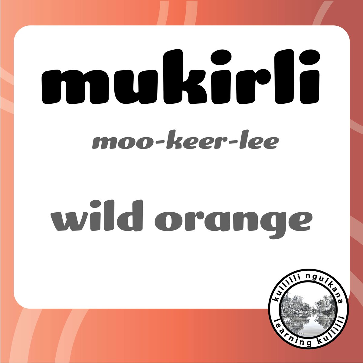 learnkullilli's tweet image. Speak Kullilli 👣 #KullilliNgulkana