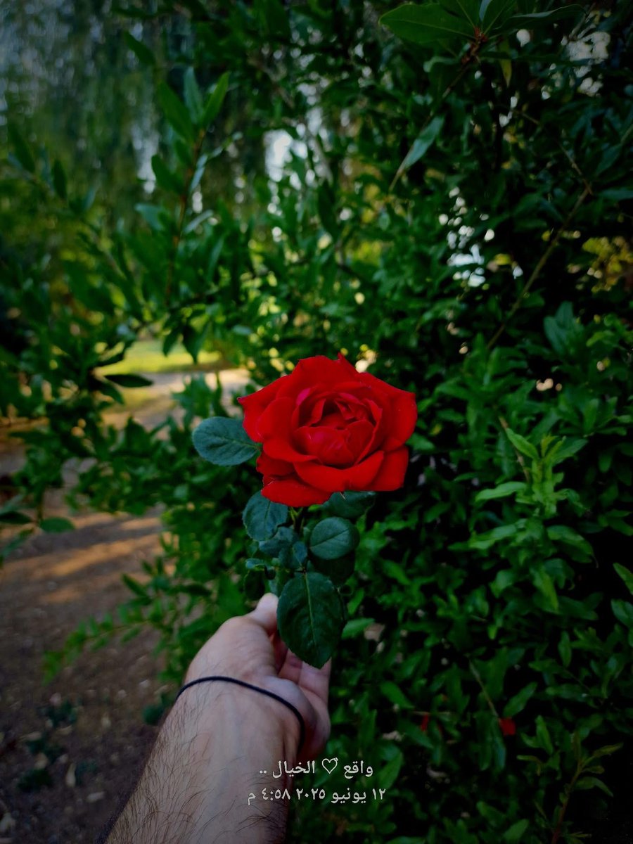 selar222's tweet image. عندما تجتمع  الخشونه مع الرقه  يحدث انفجار

#حمد_سعود