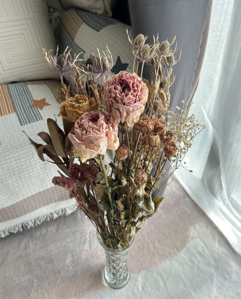 愛人如養花
我👇🏻🥲