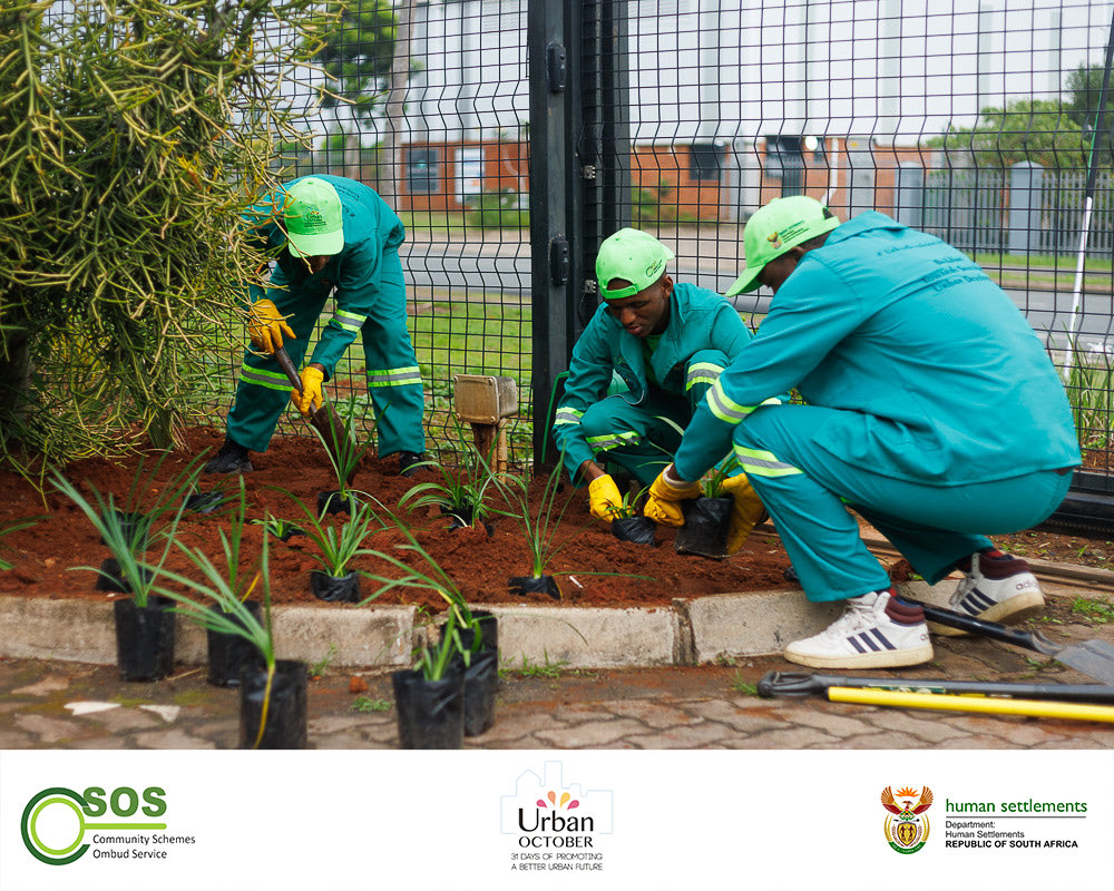 CSOS_SA's tweet image. TODAY we are visiting our forth establishment . Assisting in the beautification of their space.
CSOS in partnership with the department of Human Settements and the UN- Habitat are ready to show up, educate and engage with each and everyone of you.
Keep glued to our social…