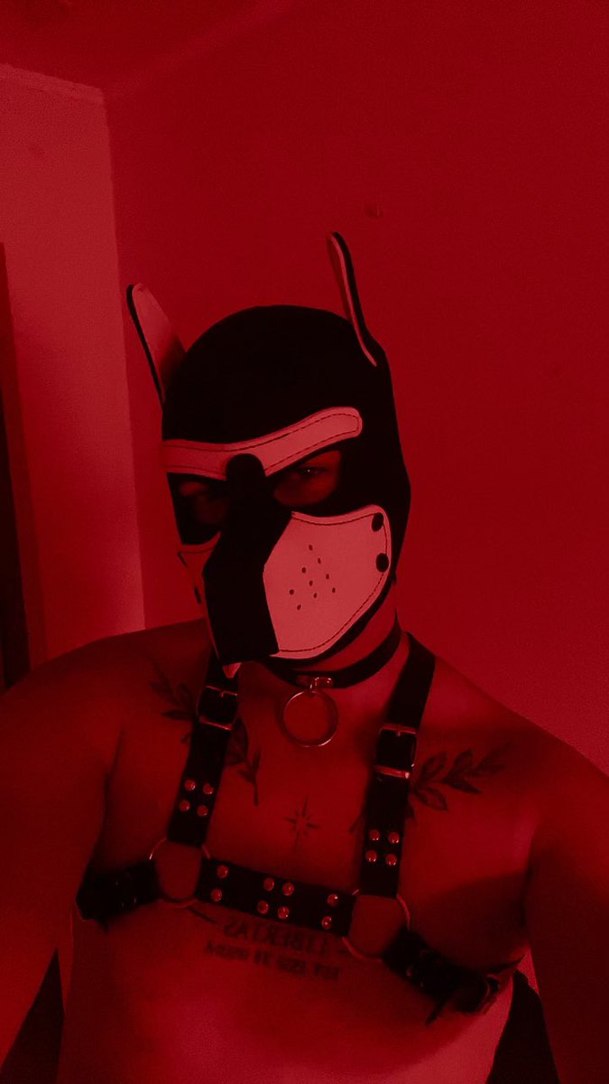 Солодкий Кондитер🧸🍭 (@iceredarik) on Twitter photo 