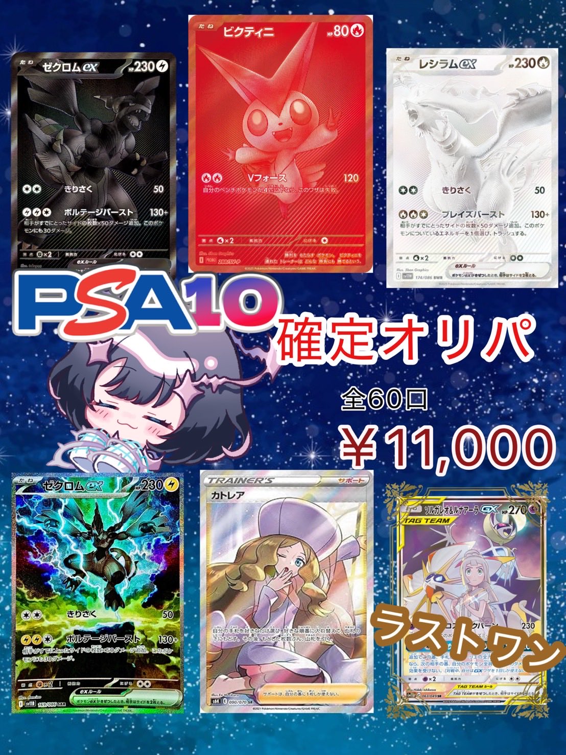 かわいくおめかし　パレオ　PSA10 かわいくおめかし パレオ PSA10