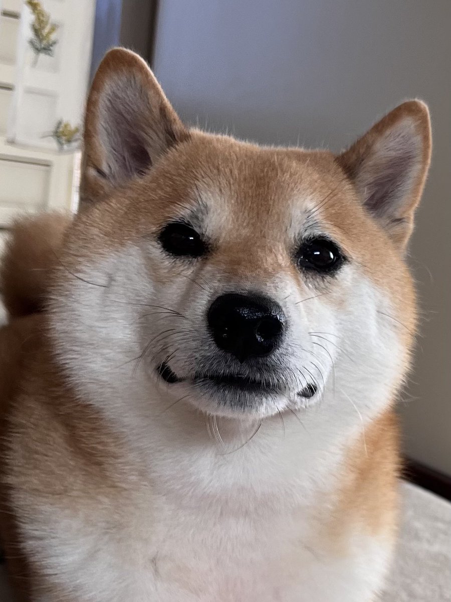 聖帝らいむ✊✌️✋ (@seionkai) / Posts / X