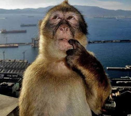 winterstellars's tweet image. 