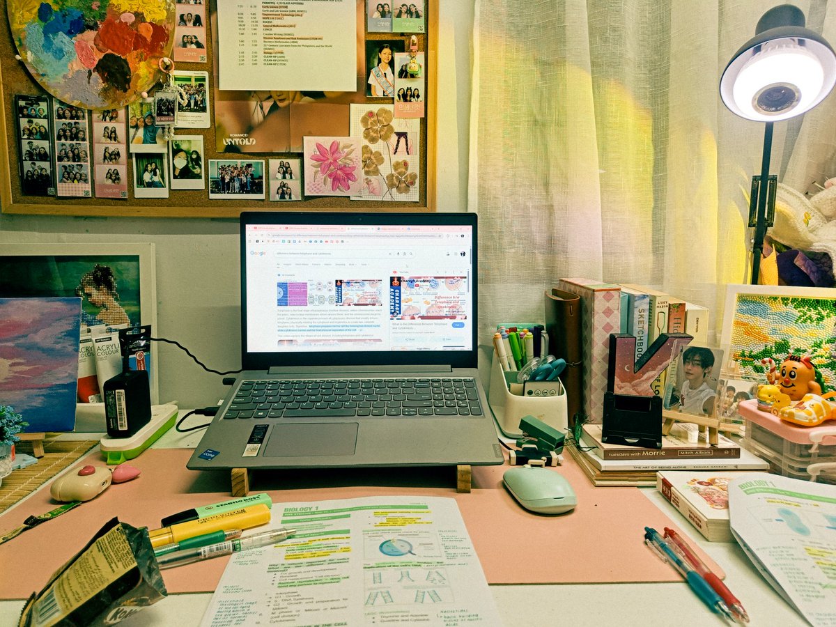 yla ౨ৎ tweet media