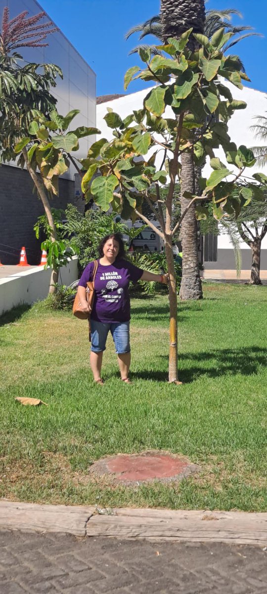 1Millón de Árboles X El Cambio Climático-Alcalá (@alcalaverde1) on Twitter photo En #Arona, nuestra embajadora Soledad Jiménez ha visitado el árbol que la Asociación Un Millón de Árboles plantó junto a Martín Rivero y Arona SOS Atlántico, comprobando con alegría que el ejemplar disfruta de muy buena salud y sigue creciendo con fuerza.
<a href="/AytoAlcalaH/">Ayuntamiento de Alcalá de Henares</a> En #Arona, nuestra embajadora Soledad Jiménez ha visitado el árbol que la Asociación Un Millón de Árboles plantó junto a Martín Rivero y Arona SOS Atlántico, comprobando con alegría que el ejemplar disfruta de muy buena salud y sigue creciendo con fuerza.
<a href="/AytoAlcalaH/">Ayuntamiento de Alcalá de Henares</a>