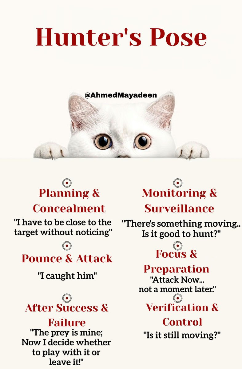AhmedMayadeen's tweet image. 👀 The &quot;#Hunter_Pose&quot; is the ultimate framework for success..

🏵️Best Project Managers &amp;amp; Innovators are #Hunters..

📑 On #Projects: Plan in silence, monitor closely, pounce on execution..

🔰 On #Opportunities: Stay alert, focus, and commit when the time is right..

👇🏼
