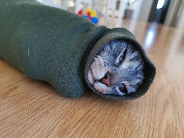 Otherwise tweet media