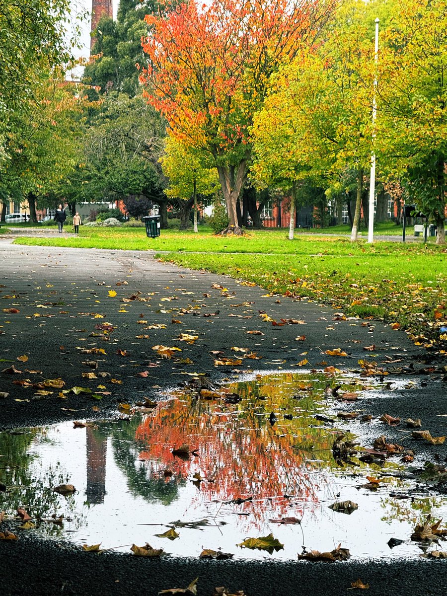 Let’s see some beautiful reflection this Sunday!