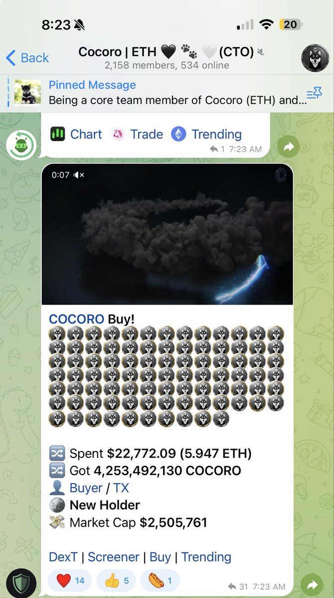 crypto74625's tweet image. Someone knows something is coming 😎 @BlackShib_DOGE $COCORO on ETH