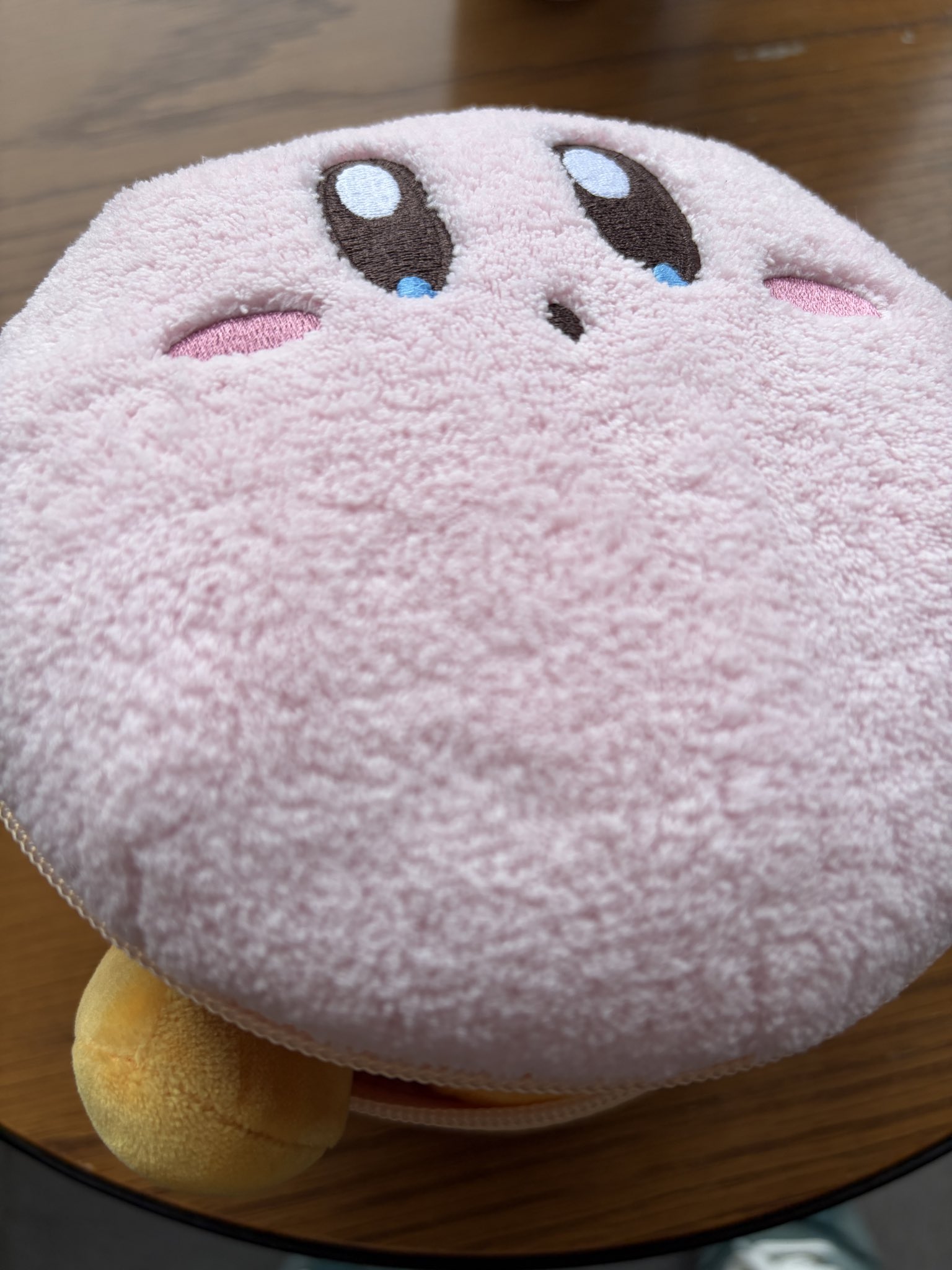 ⭐︎にゃこ⭐︎ 9月26日順次発売｜CONVERSE × SHINYAKOZUKA 