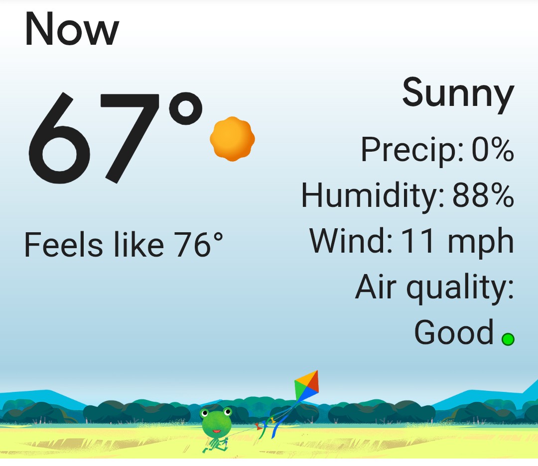 A bit nippy in Florida today but the sun is finally coming out after a week of rain! I'll take it 🌞 🌺