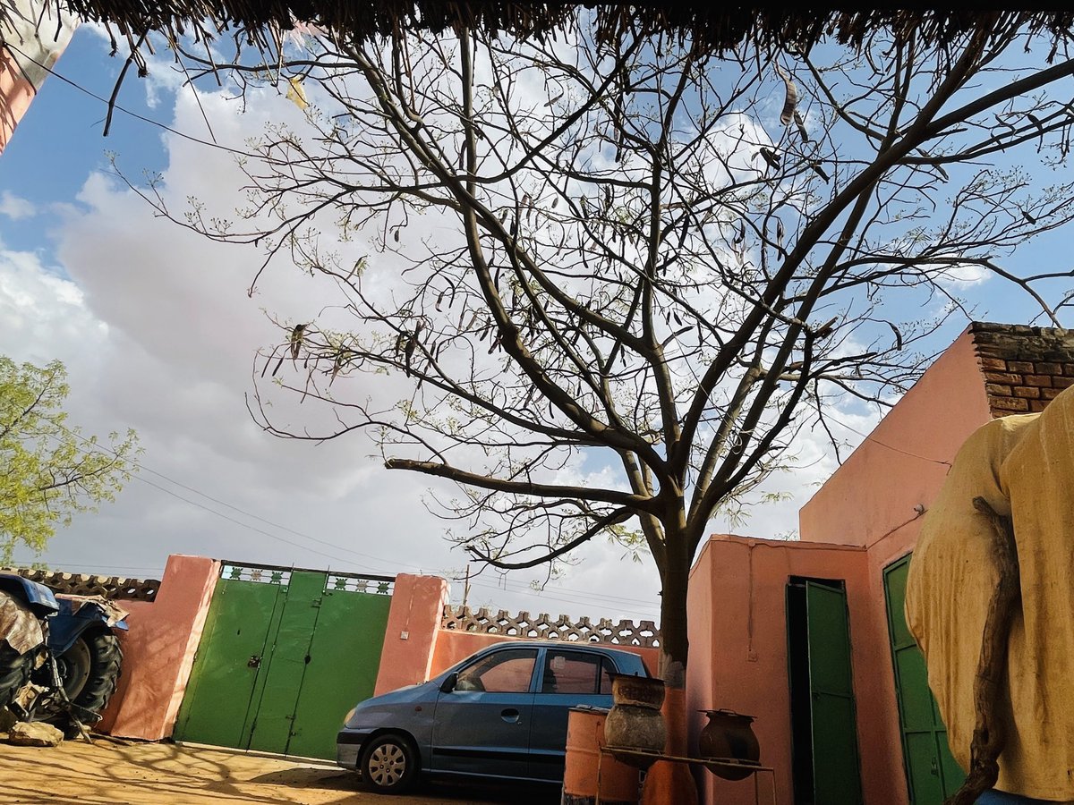 أجمل حاجة في مدينة أبوزبد انها عبارة عن سودان مصغر ، كل مناطق السودان وعاداتها بتلقاها فيها ، في المدرسة بتقرا مع هوسا وجعليين ونوبة ودناقلة ومجانين وفلاتة و كبابيش و فور ورزيقات وحمر و كلو، حتى الأحياء معظم قبايل السودان بتلقى عندها أحياء في المدينة ( حي هوسا ، حي الدناقلة ، حي