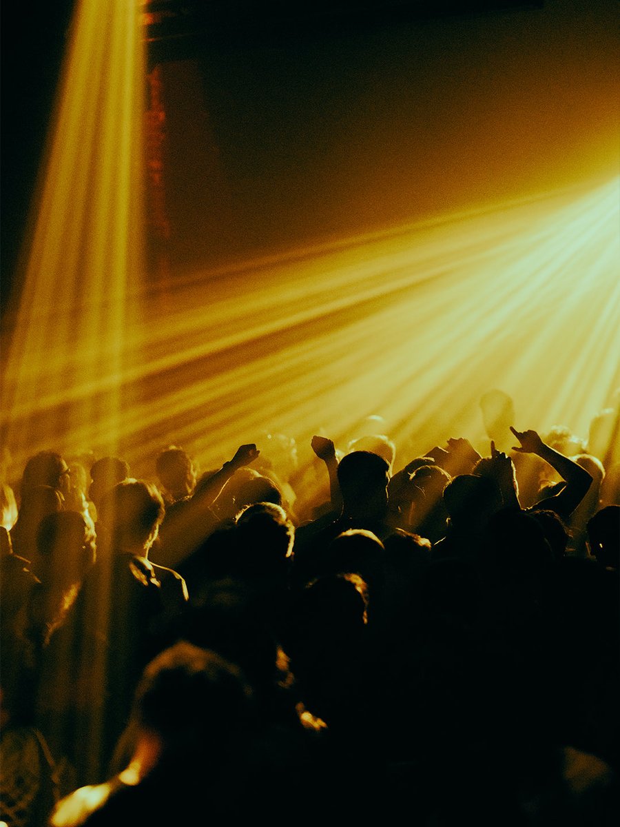 sophia carey tweet media