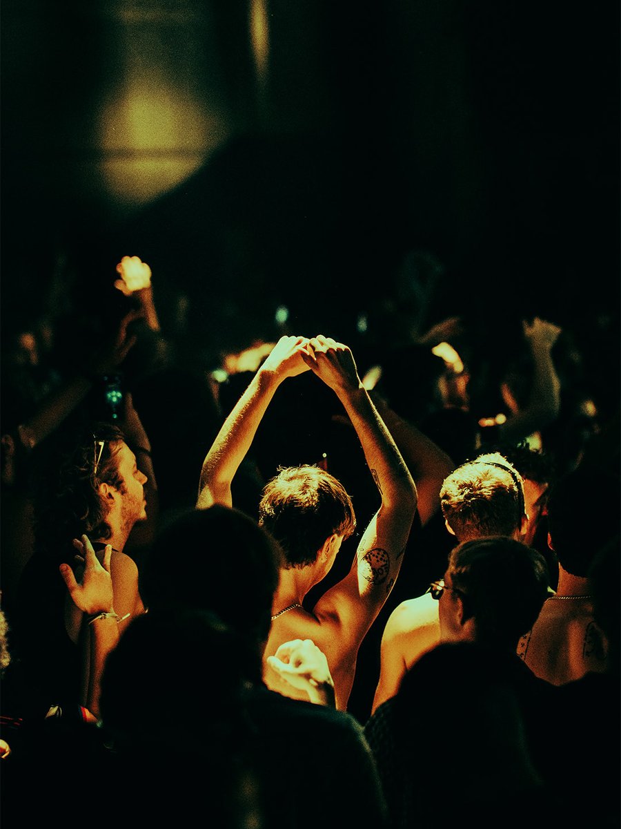 sophia carey tweet media