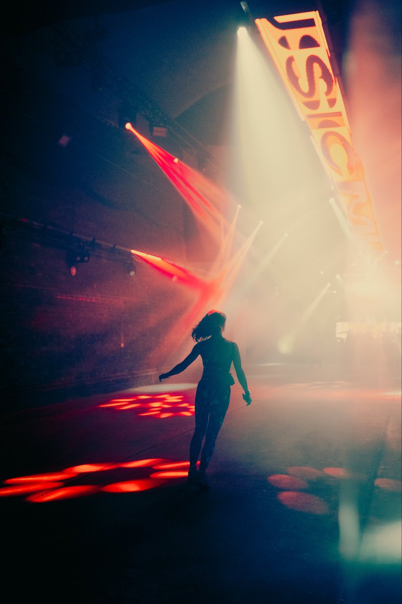 sophia carey tweet media