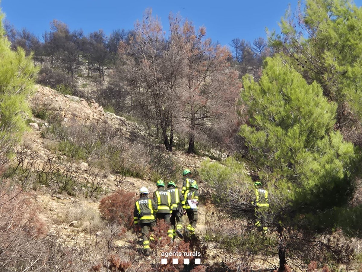 Agents Rurals tweet media