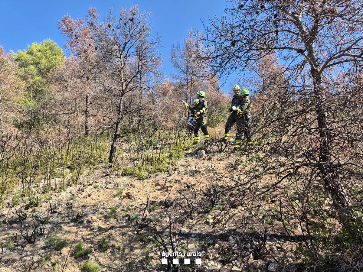 Agents Rurals tweet media