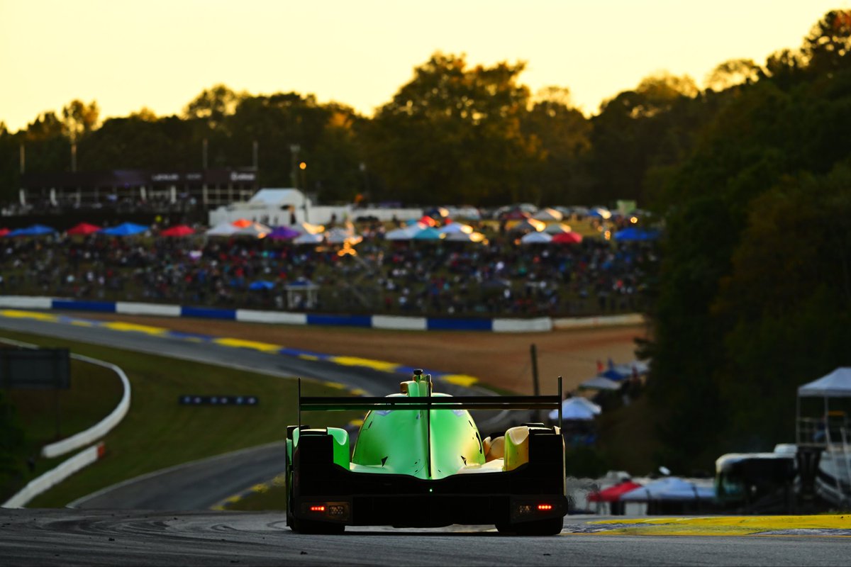 Tom Dillmann tweet media