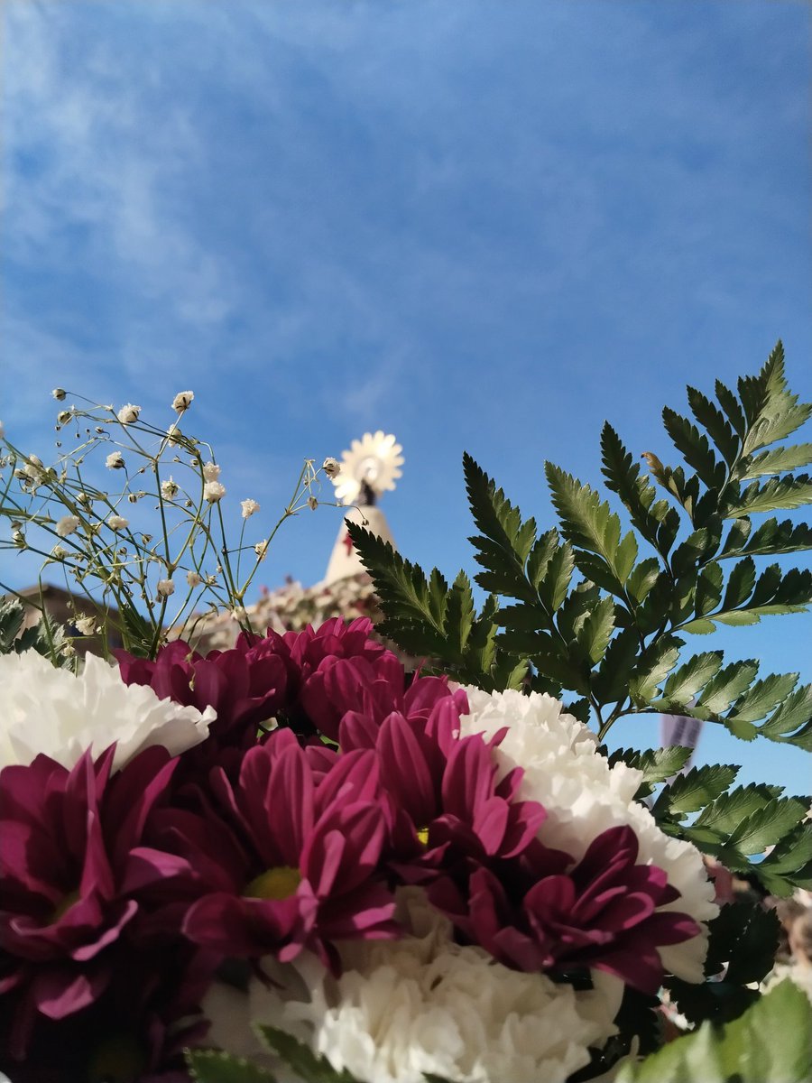 FLORES YA EN LA VIRGEN 💐💐💐