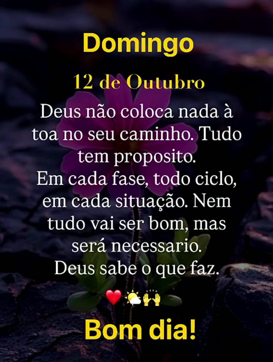 DebbiePharma's tweet image. Bom dia 🙏🥰
Agradeço e celebro mais um dia que nasce.
Que as horas sejam abençoadas. Que o amor floresça em mim.
Em você. Em nós.