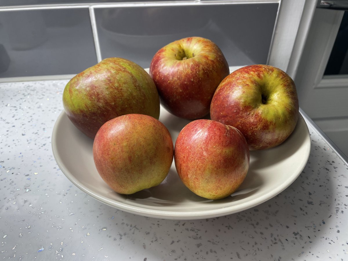 richiebyte's tweet image. I grew these. It’s a small thing but it gave me a few seconds of actual happiness. The last few months have been heavy and I haven’t really felt okay. Just sharing something good for once.