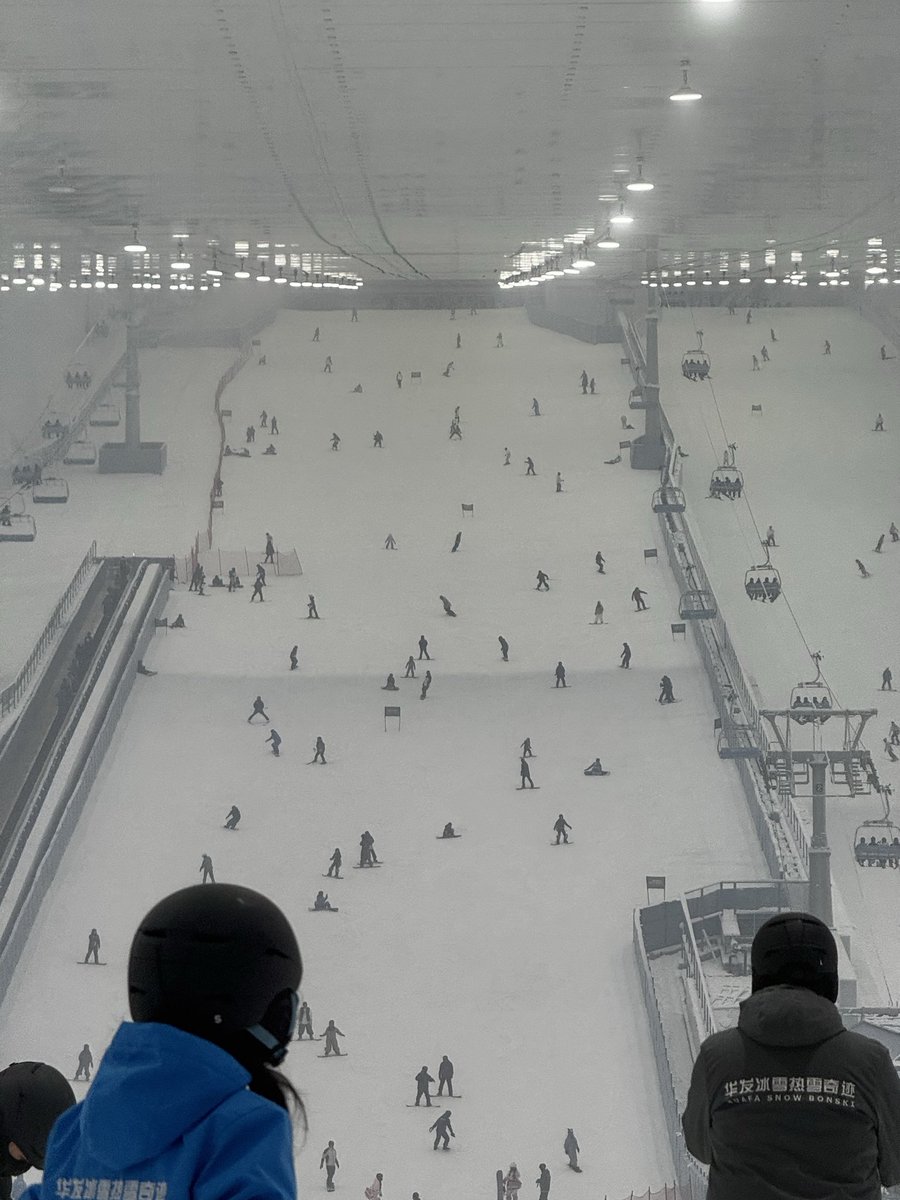 来大冰箱玩了🏂
