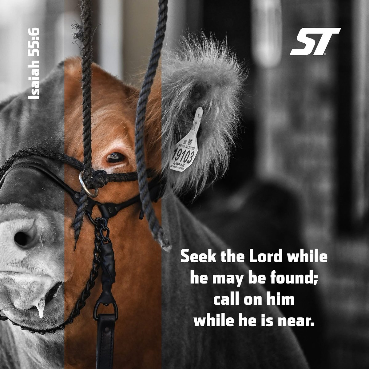 Seek the Lord while he may be found; call on him while he is near.
Isaiah 55:6
