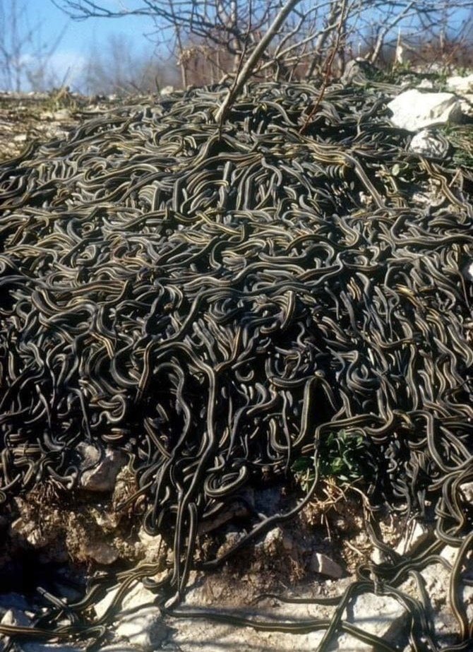 Ко ќе прочиташ во оглас дека нудат пријатна работна атмосфера, знај дека изгледа вака....