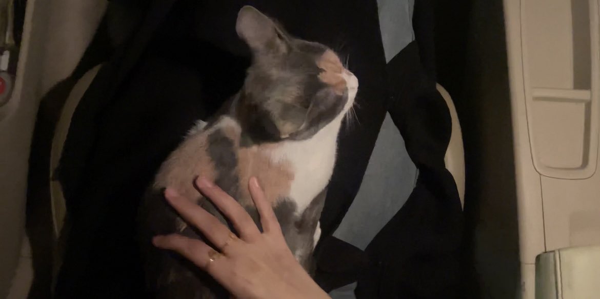 سألتني امي عن القطوه قلت مو عندي حالياً 
قالت اشوا الحمدلله خليها  تروح 
 مممم  عندي لك خبر سي ء وديتها تتزوج ابي احفاد (؛