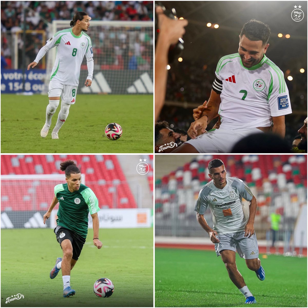 𝗔𝗿𝗼𝗯𝗮𝘀𝗲𝗗𝘇𝗮𝗶𝗿 🇩🇿💫 tweet media