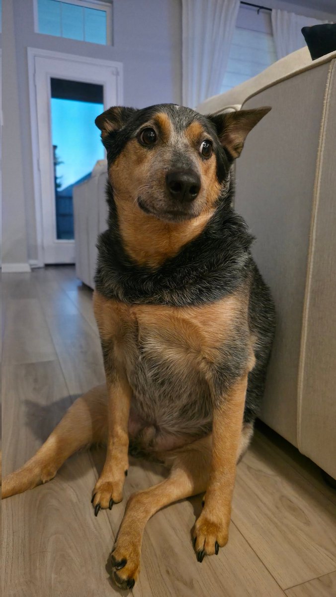 GM home miners. ☀️🟧⛏️

We're headed to TABCONF 7.

Fulfillment and customer support will be limited, but we have a hard working team staying behind for you guys. 🫡