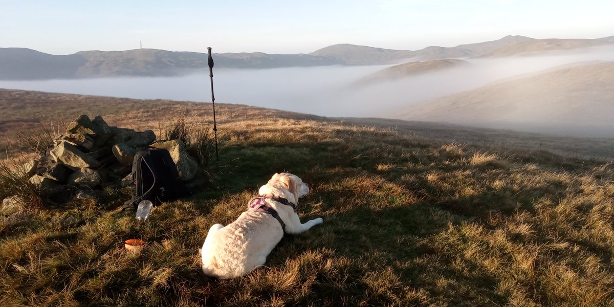 mbhbtb's tweet photo. Early start to see if we could get above the #Temperatureinversion on Shap Fells, not disappointed, absolutely cracking scenery on Jeffrey's Mount https://t.co/Y2BWL7uEq9