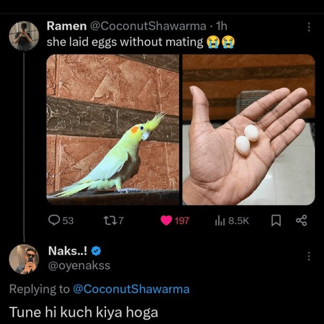 💀😭