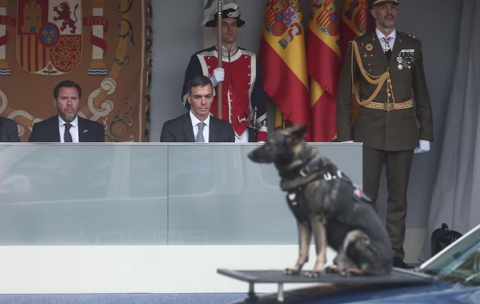 La foto de las fotos.
Larga vida al Sanchismo ✊🏻 🌹