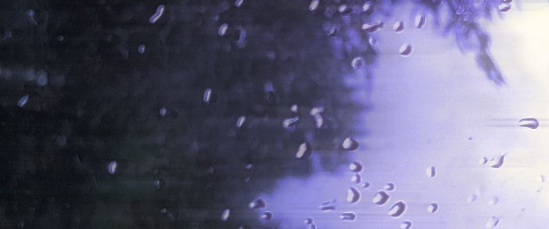 rainfall - 落雨. tweet media