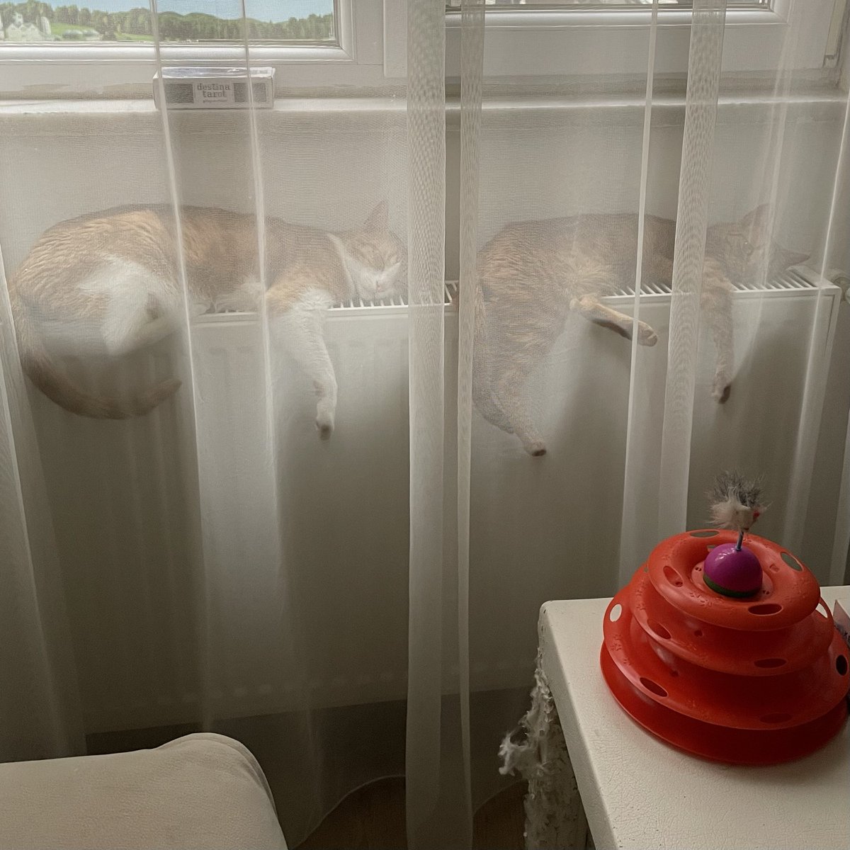 perdenin ardındakiler