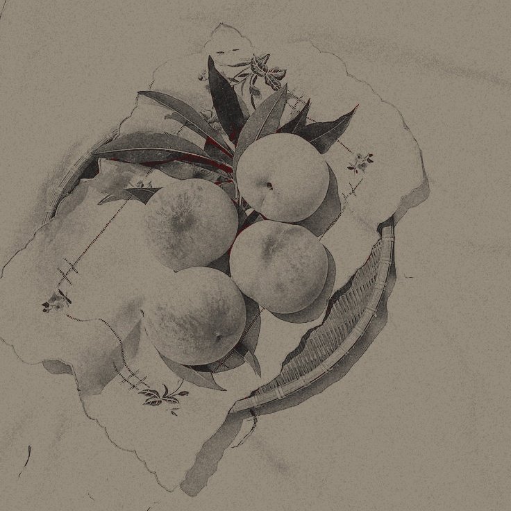 ᅟ 𓂀𓈅 ᅟ 𝖘𝐀𝐍𝐃———ᴱ͟𝐂𝐇𝕺𝐄𝐒ᅟ.ᅟ (@obsidianveils) on Twitter photo 