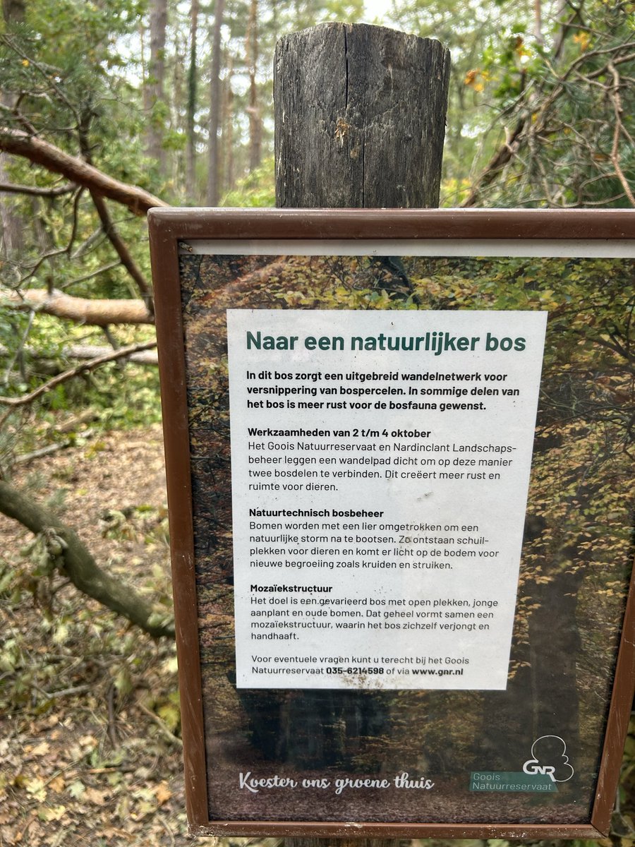 mariannezw's tweet image. “Bomen worden met een lier omgetrokken om een natuurlijke storm na te bootsen” 🤣🤣🤣
#GroeneMaffia #Knettergek
Voor wie zich nog afvroeg waarom de wolf in Nederland is: DE MENSEN MOETEN OPROTTEN