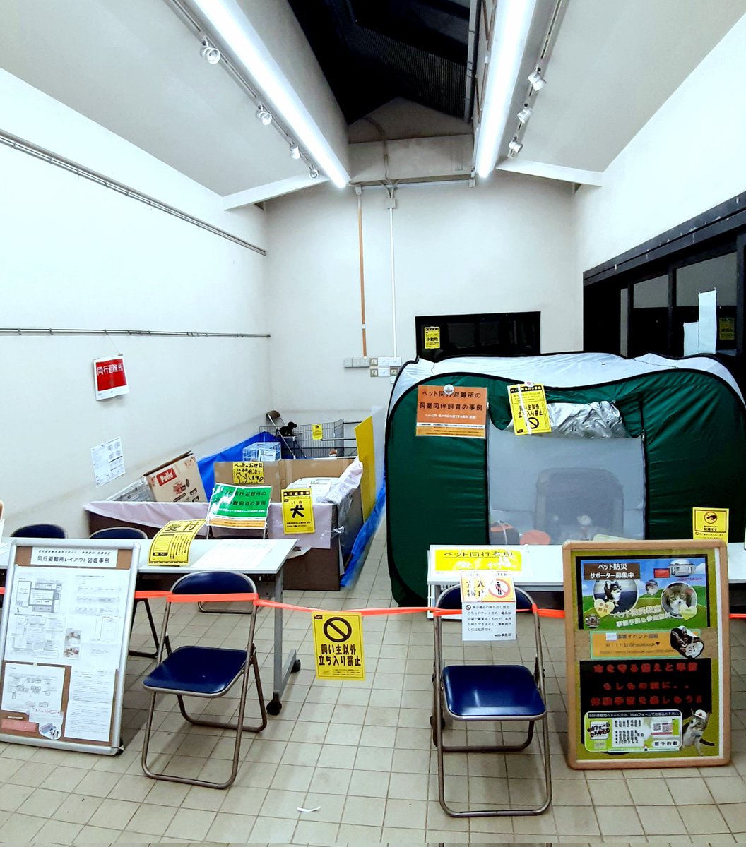 WithPetClub's tweet photo. ◼️ペット防災展示10/12～10/19開催
Withでは『ペットと飼い主の命と未来を守る』をテーマに、10月は防災展示と同行避難訓練を開催します！
又ポスター譲渡会も同時展示、こみらも是非ご覧くださいませ。
10月12日（日）～19日（日）午前10時～午後5時
場所：荒川公園内展示場
#犬 #猫 #ウサギ #鳥 https://t.co/2jtNAqlgni