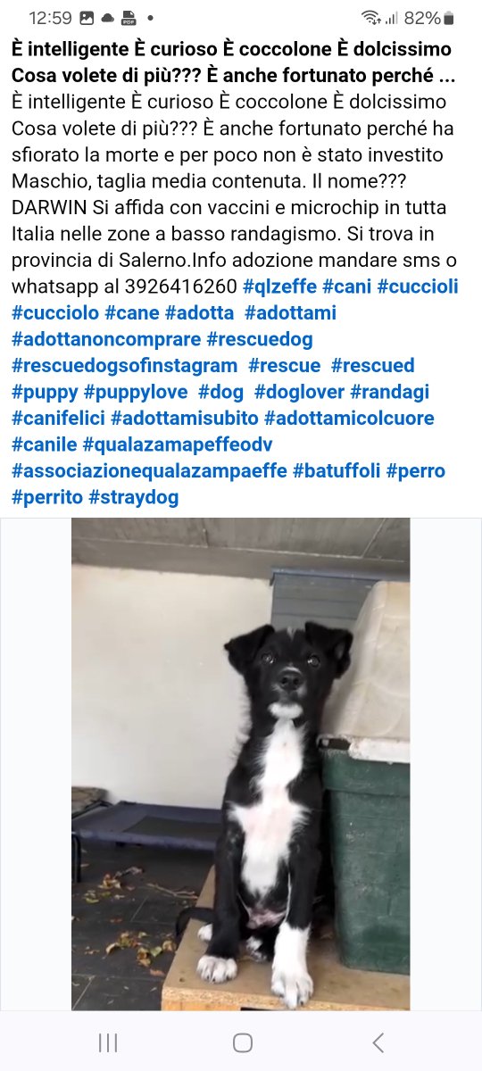 annina_cutillo's tweet image. 