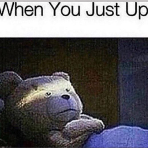 Multitudes Container tweet media